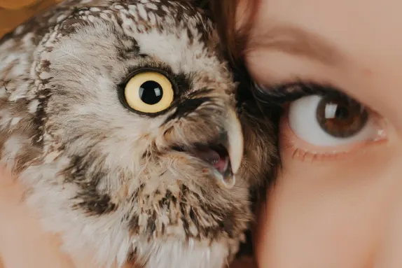 Casino Royal Winner Ondersteuning